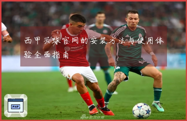 西甲买球官网的安装方法与使用体验全面指南