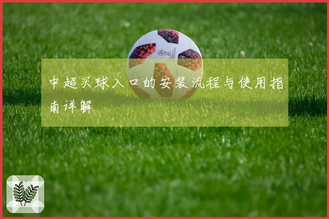 中超买球入口的安装流程与使用指南详解