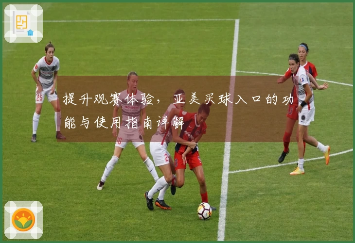 提升观赛体验，亚美买球入口的功能与使用指南详解
