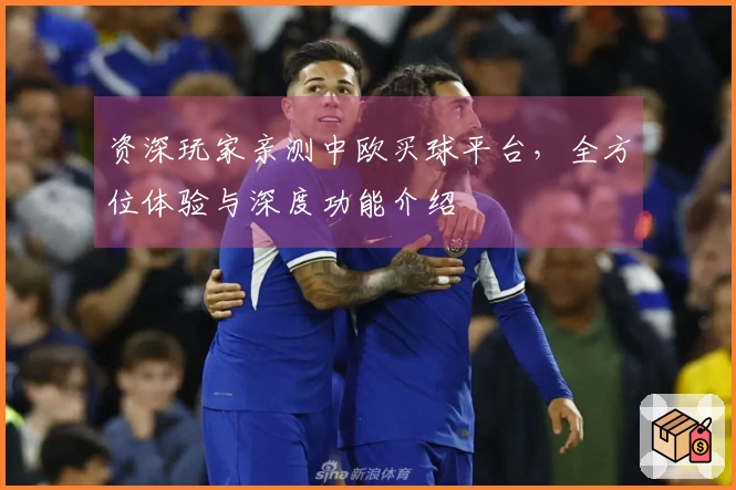 资深玩家亲测中欧买球平台，全方位体验与深度功能介绍
