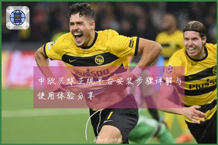 中欧买球正规平台安装步骤详解与使用体验分享