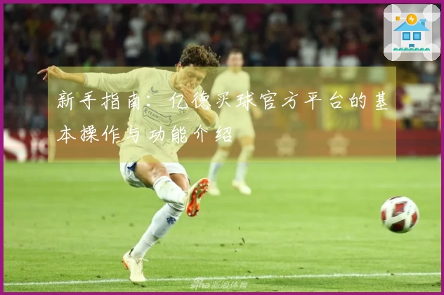 新手指南：亿德买球官方平台的基本操作与功能介绍